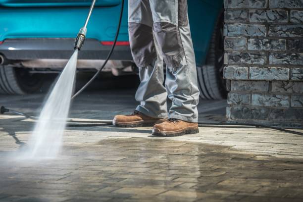 Best Sign and Awning Cleaning  in Williams, CA